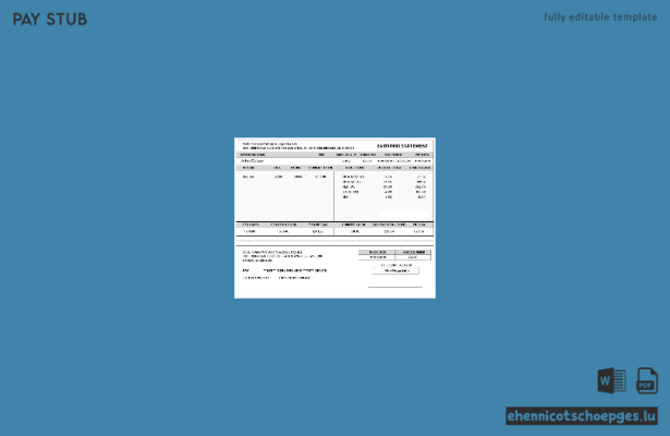 USA York Transportation and Logistics LLC – Beispiel einer Gewinn- und Verlustrechnung (Vorschau)